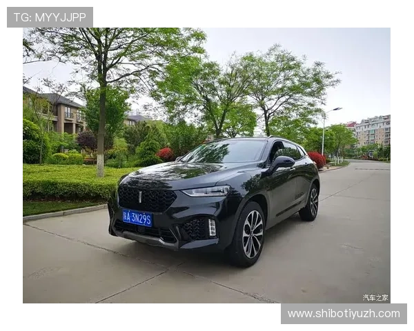 ds视讯官方官站为用户带来安全稳定的视讯体验与最新技术动态 ds视讯官方官站为用户带来安全稳定的视讯体验与最新技术动态